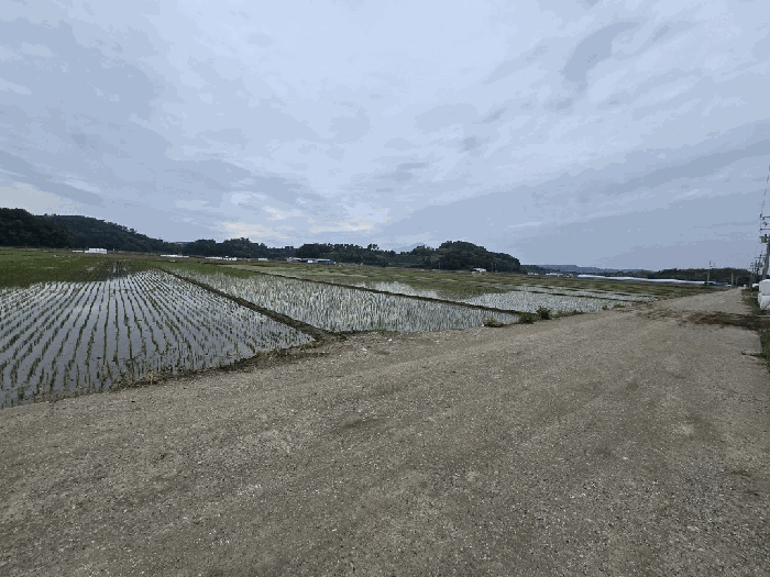경남 사천시 서포면 답 경매 물건 사진 5 · 2025타경30879