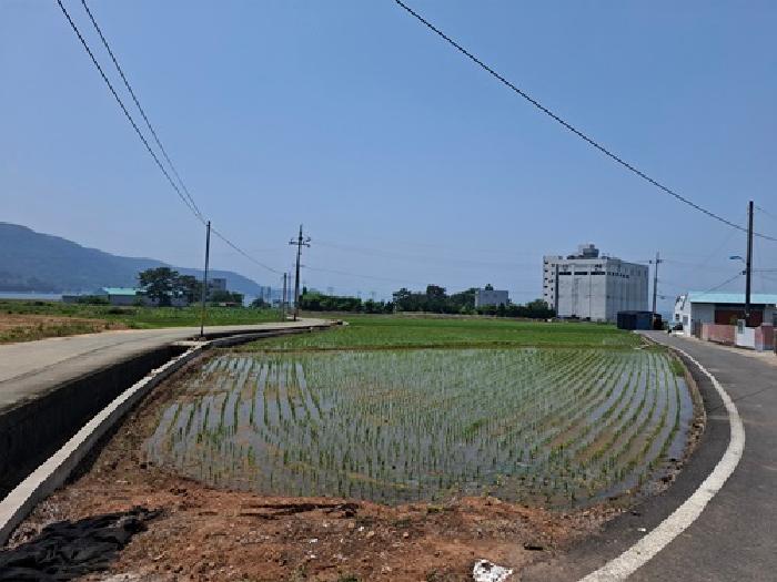 경남 사천시 노룡동 답 경매 물건 사진