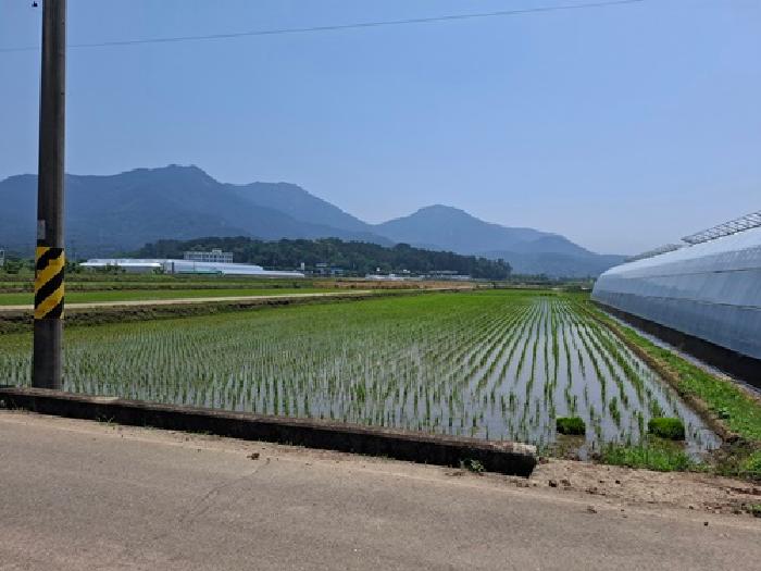 경남 사천시 노룡동 답 경매 물건 사진 3 · 2025타경30880