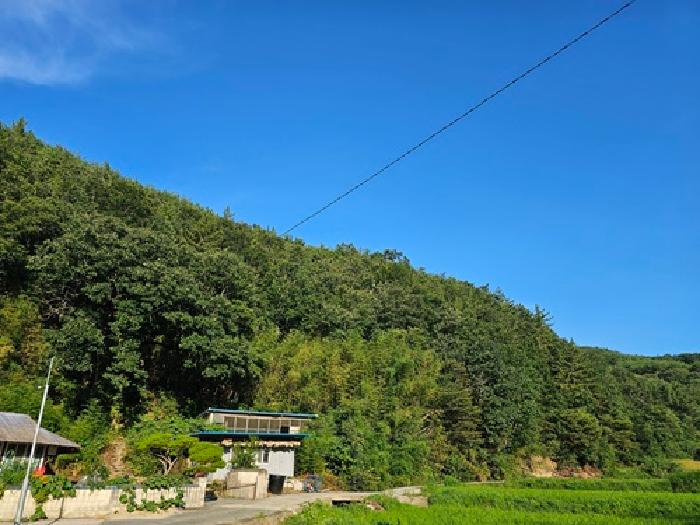 경남 진주시 미천면 답 경매 물건 사진 6 · 2025타경30884