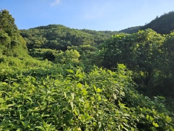 경남 진주시 미천면 답 경매 물건 사진 2 · 2025타경30884