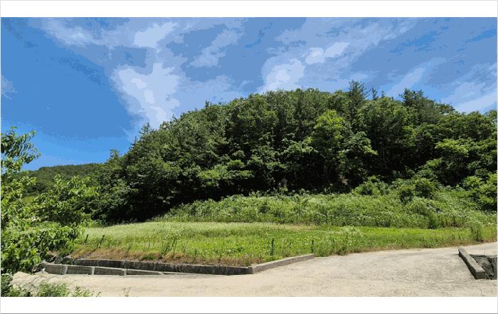 경남 진주시 미천면 답 경매 물건 사진