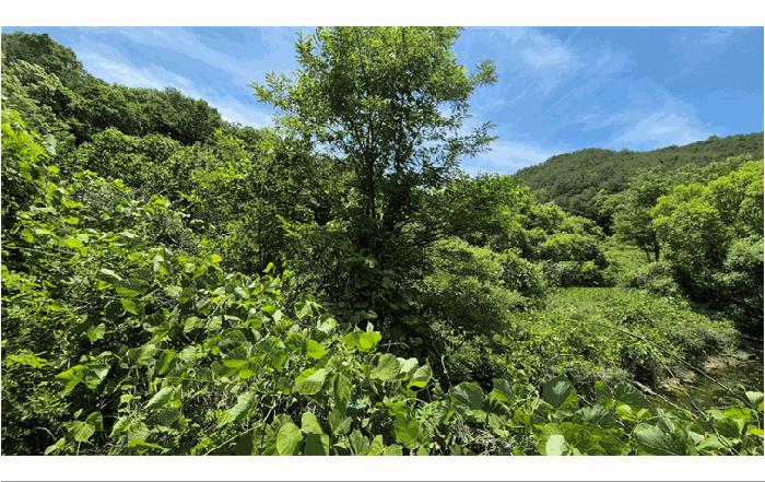경남 진주시 미천면 답 경매 물건 사진 5 · 2025타경30884