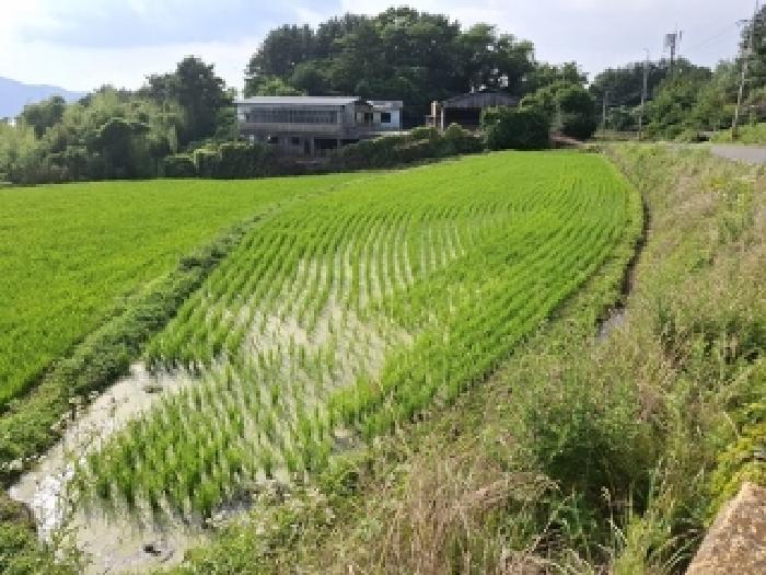 경남 남해군 서면 답 경매 물건 사진
