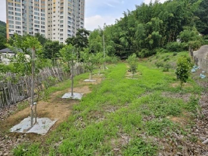 경남 진주시 금산면 대지 경매 물건 사진 2 · 2025타경30920
