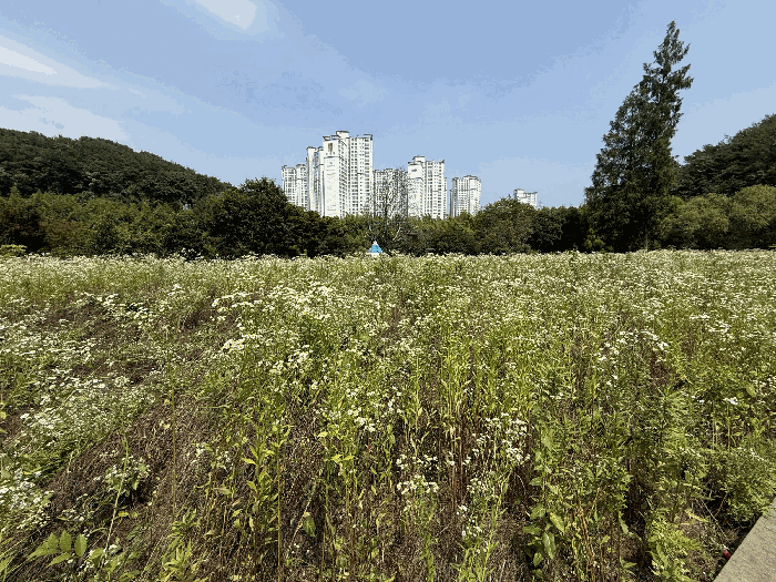경남 진주시 내동면 도로 경매 물건 사진 4 · 2025타경30922