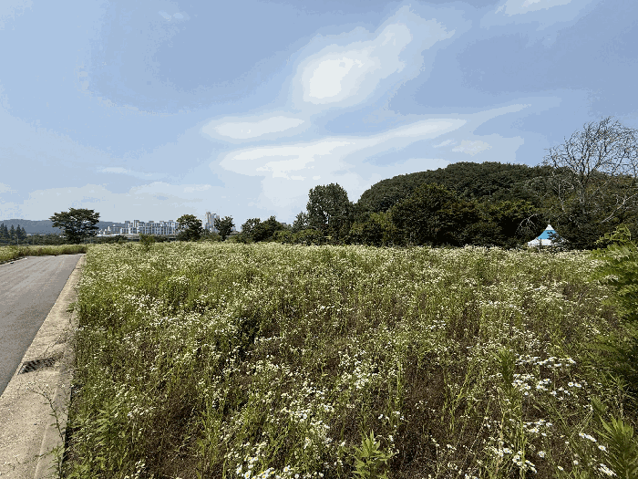 경남 진주시 내동면 도로 경매 물건 사진 6 · 2025타경30922