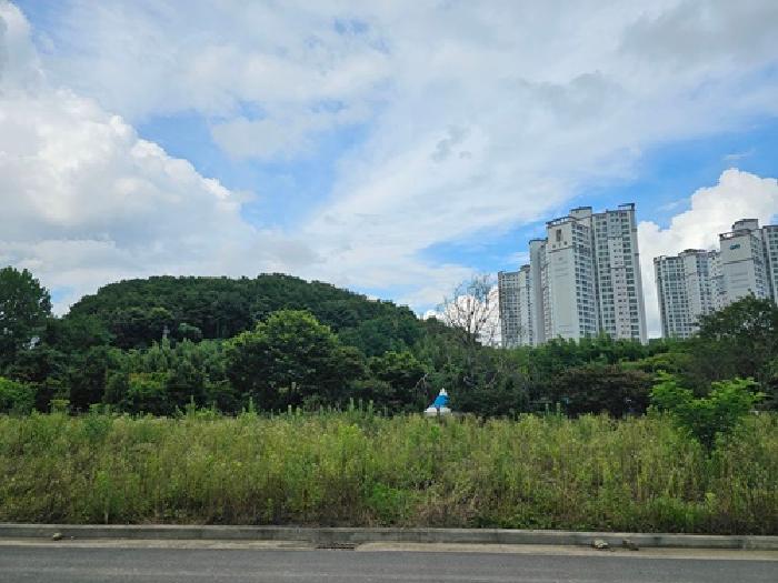경남 진주시 내동면 도로 경매 물건 사진