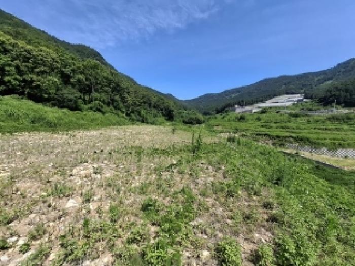 경남 사천시 실안동 답 경매 물건 사진