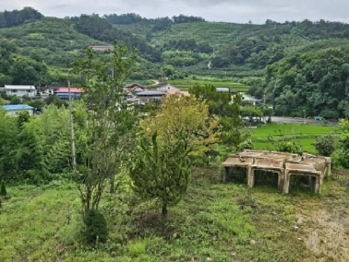 경남 진주시 대곡면 근린생활시설 경매 물건 사진 5 · 2025타경30936
