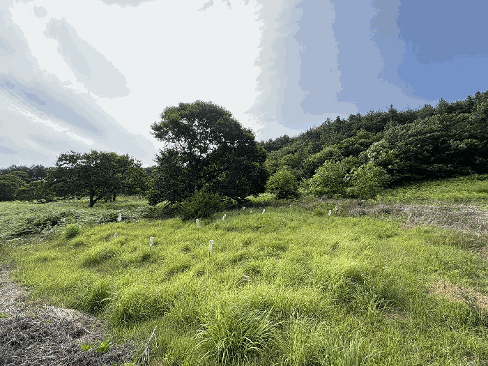 경남 하동군 고전면 임야 경매 물건 사진 4 · 2025타경30945