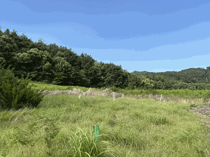 경남 하동군 고전면 임야 경매 물건 사진 5 · 2025타경30945