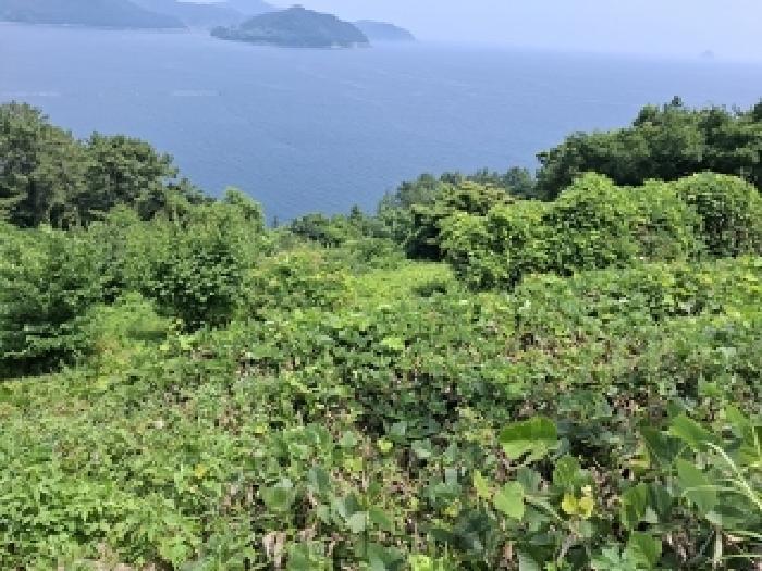 경남 남해군 남면 전 경매 물건 사진