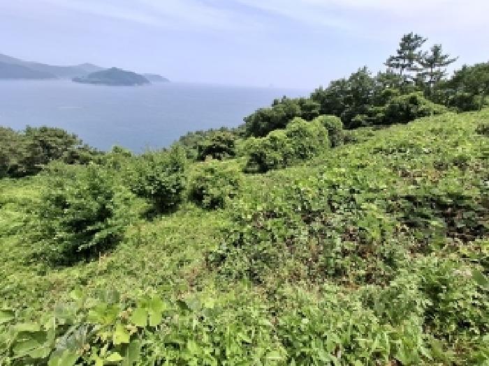 경남 남해군 남면 전 경매 물건 사진 2 · 2025타경30956