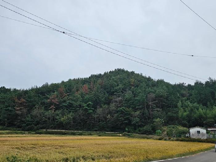 경남 하동군 금남면 연립주택 경매 물건 사진