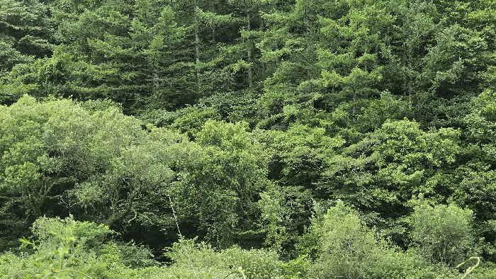 경남 하동군 청암면 답 경매 물건 사진 4 · 2025타경30978
