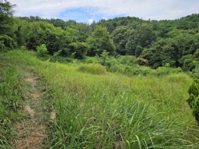 경남 산청군 신등면 전 경매 물건 사진