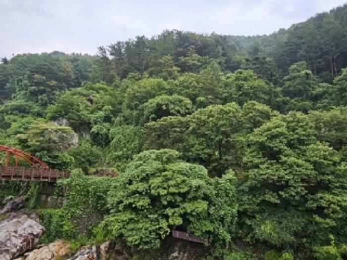 경남 산청군 시천면 임야 경매 물건 사진
