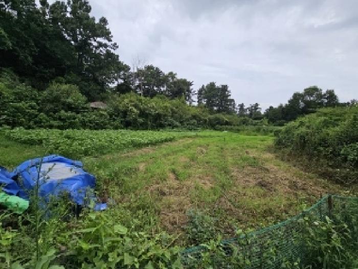 경남 진주시 평거동 전 경매 물건 사진 5 · 2025타경31036
