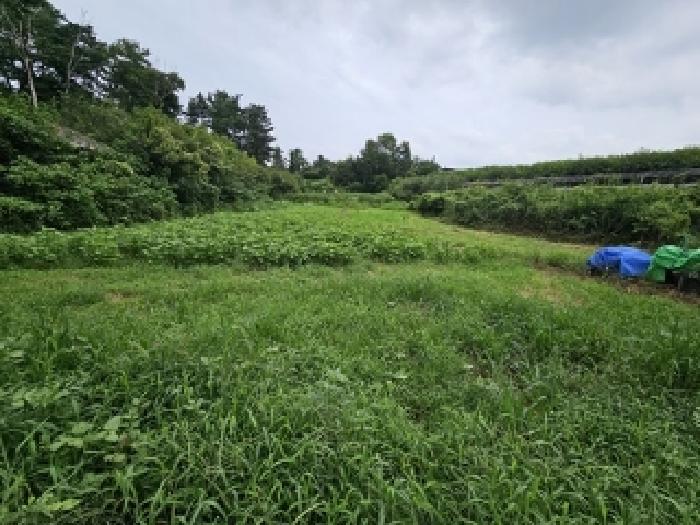 경남 진주시 평거동 전 경매 물건 사진