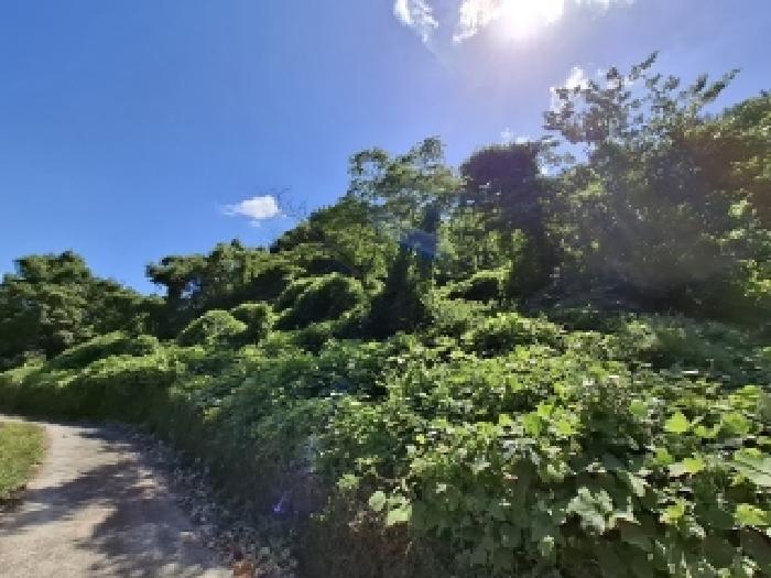경남 남해군 남면 전 경매 물건 사진 3 · 2025타경31039