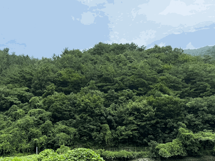 경남 진주시 이반성면 대지 경매 물건 사진 5 · 2025타경31040