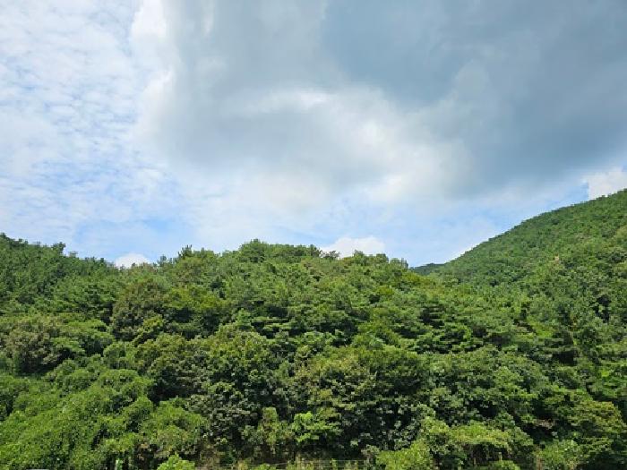 경남 진주시 이반성면 대지 경매 물건 사진