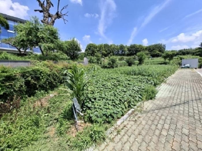 경남 사천시 사천읍 전 경매 물건 사진