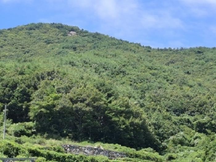 경남 남해군 미조면 임야 경매 물건 사진