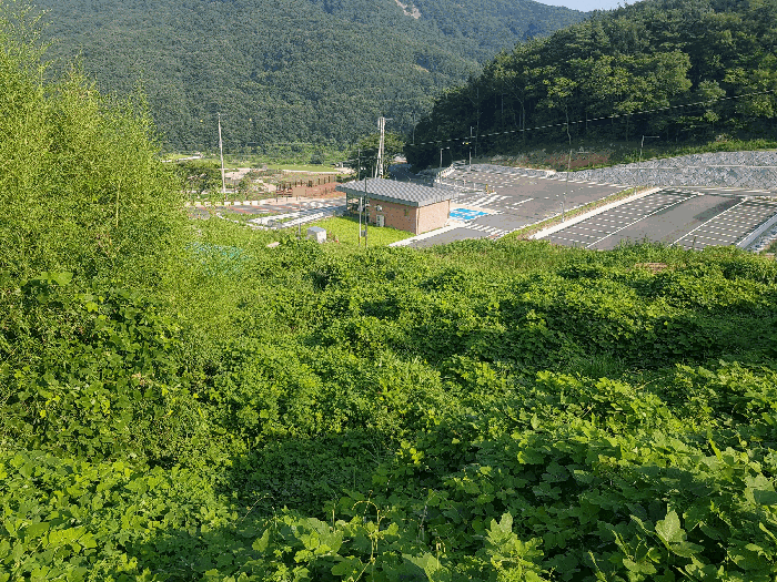 경남 남해군 상주면 전 경매 물건 사진 5 · 2025타경31054