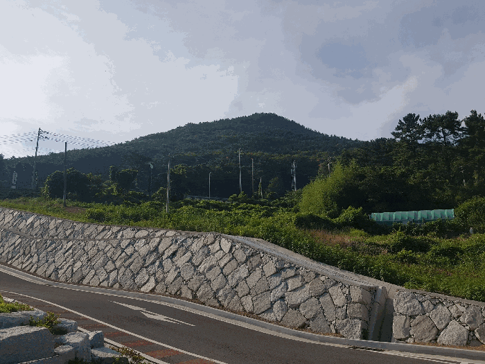 경남 남해군 상주면 전 경매 물건 사진 6 · 2025타경31054