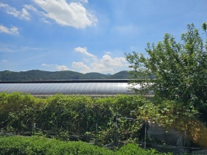 경남 진주시 금산면 답 경매 물건 사진 3 · 2025타경31079