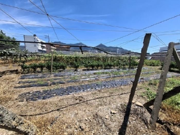 경남 사천시 송포동 답 경매 물건 사진