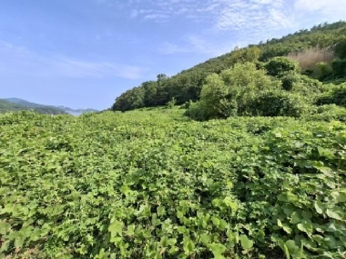 경남 남해군 상주면 답 경매 물건 사진 2 · 2025타경31092