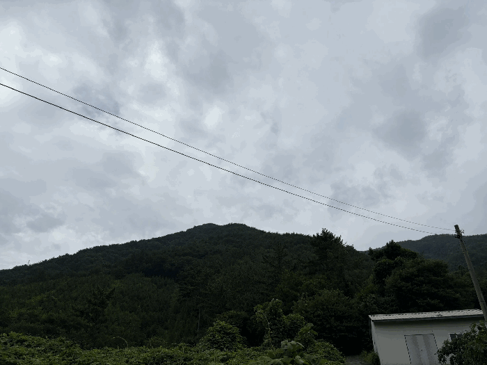 경남 사천시 정동면 임야 경매 물건 사진 4 · 2025타경31096