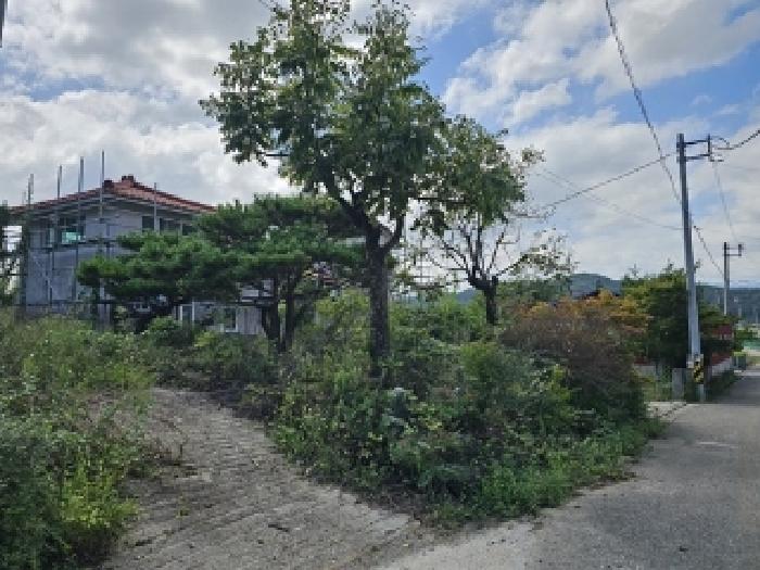 경남 산청군 신안면 단독주택 경매 물건 사진