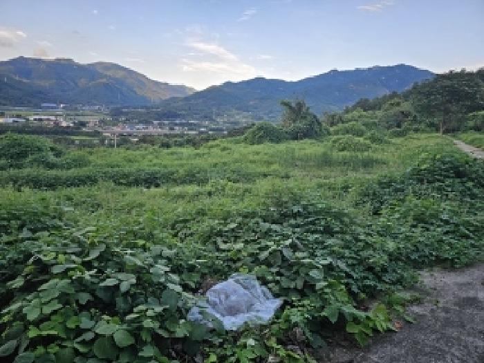 경남 산청군 산청읍 임야 경매 물건 사진 4 · 2025타경31111
