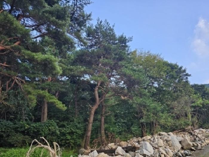 경남 산청군 산청읍 임야 경매 물건 사진 6 · 2025타경31111