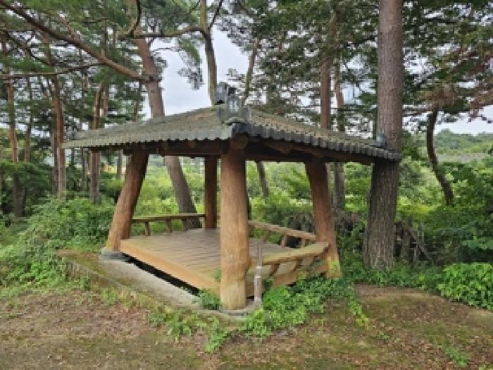 경남 산청군 단성면 임야 경매 물건 사진 3 · 2025타경31134