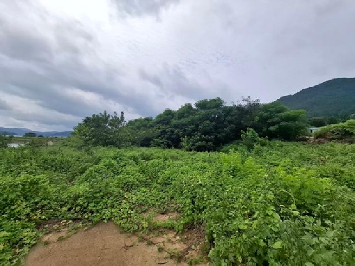 경남 남해군 창선면 답 경매 물건 사진 5 · 2025타경31137