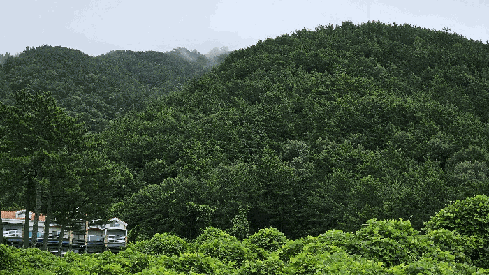 경남 남해군 서면 임야 경매 물건 사진 6 · 2025타경31139