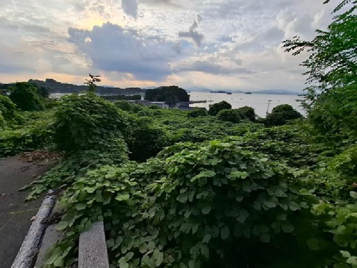 경남 남해군 고현면 대지,임야,전답 경매 물건 사진 5 · 2025타경31153