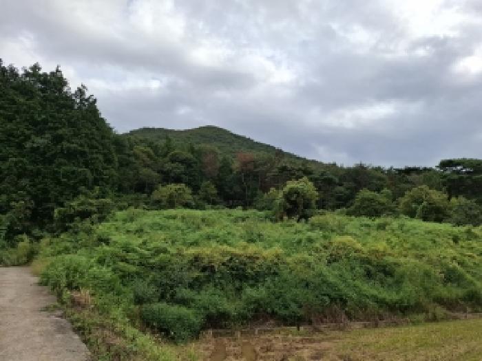 경남 남해군 삼동면 임야 경매 물건 사진