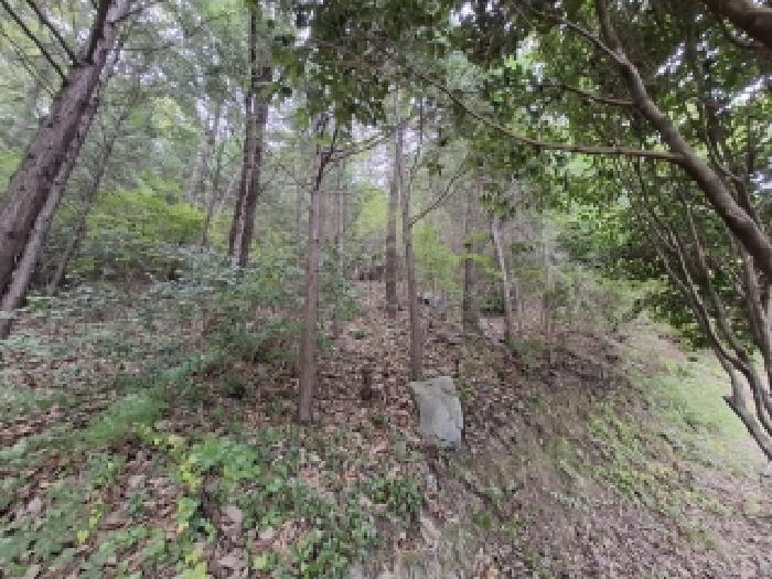 경남 남해군 미조면 임야 경매 물건 사진 4 · 2025타경31204