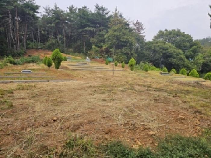 경남 하동군 양보면 전 경매 물건 사진