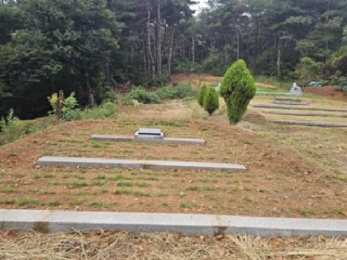경남 하동군 양보면 전 경매 물건 사진 2 · 2025타경31211