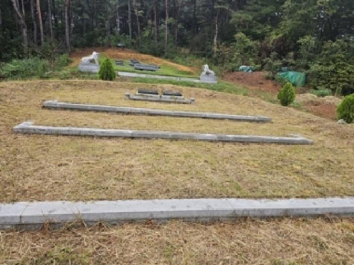 경남 하동군 양보면 전 경매 물건 사진 3 · 2025타경31211