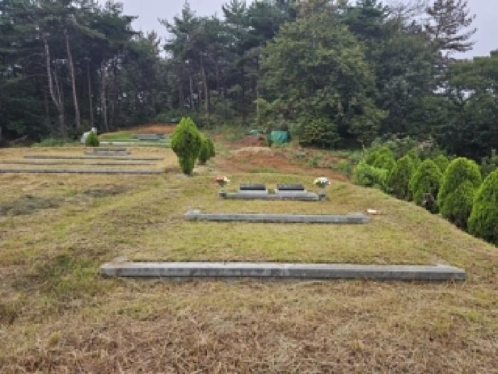 경남 하동군 양보면 전 경매 물건 사진 4 · 2025타경31211