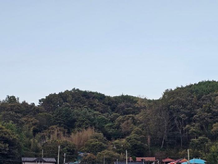 경남 하동군 양보면 전 경매 물건 사진 6 · 2025타경31211