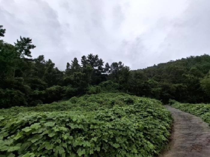 경남 남해군 서면 답 경매 물건 사진 2 · 2025타경31229